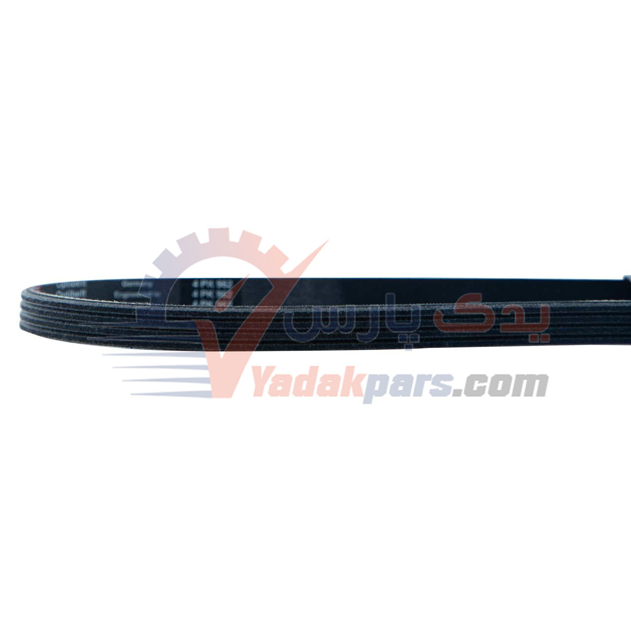 تسمه کولر ریو