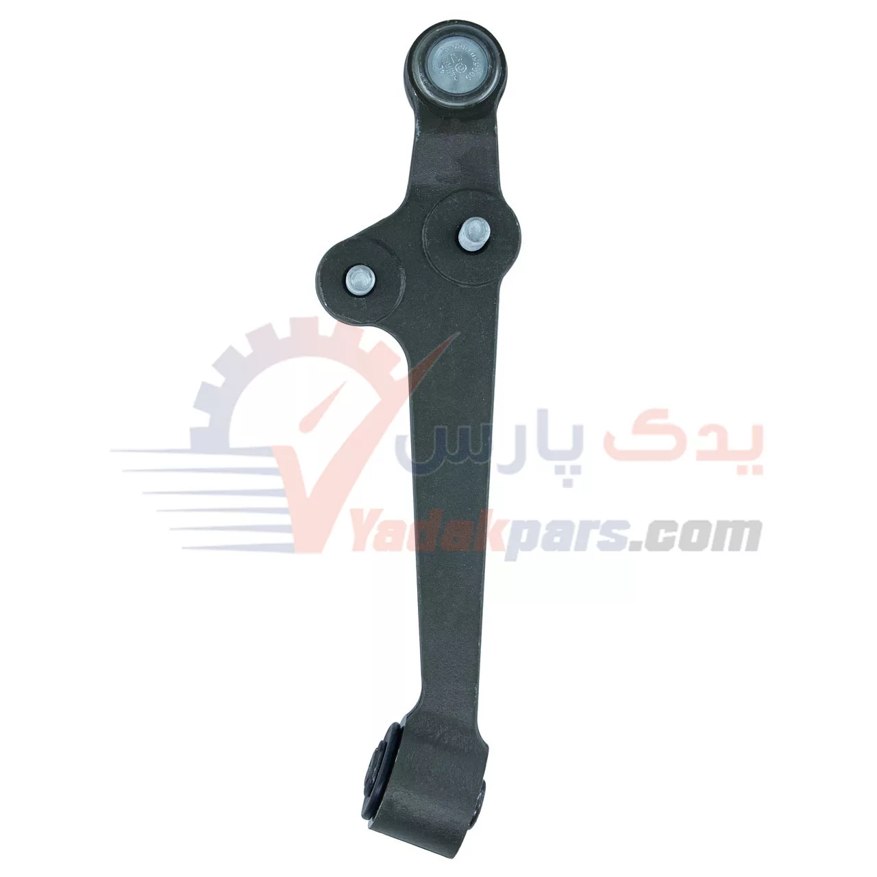 طبق چپ تیبا امرینیا