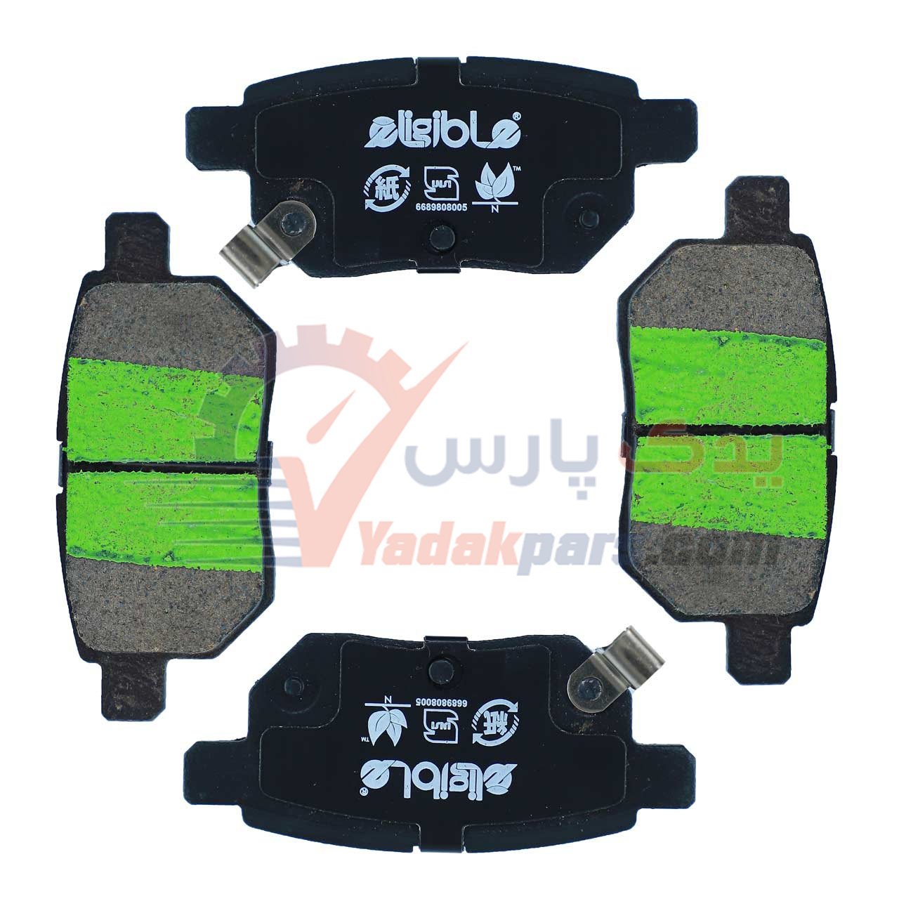 لنت عقب شاهین الیجیبل