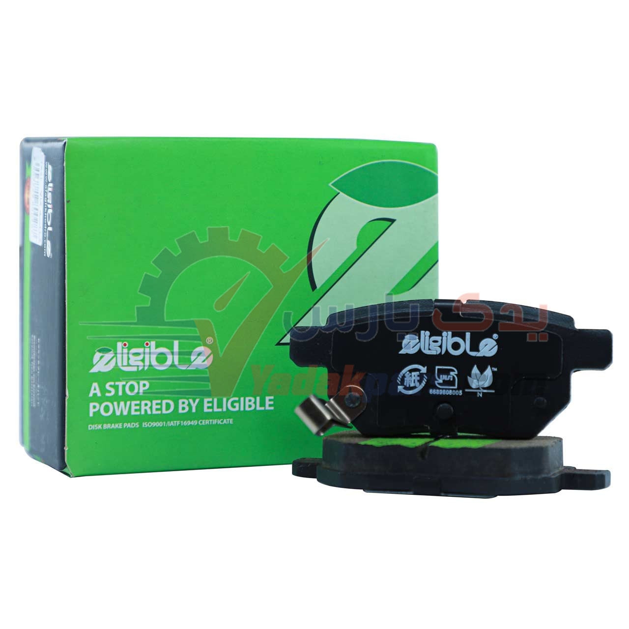 لنت عقب شاهین الیجیبل