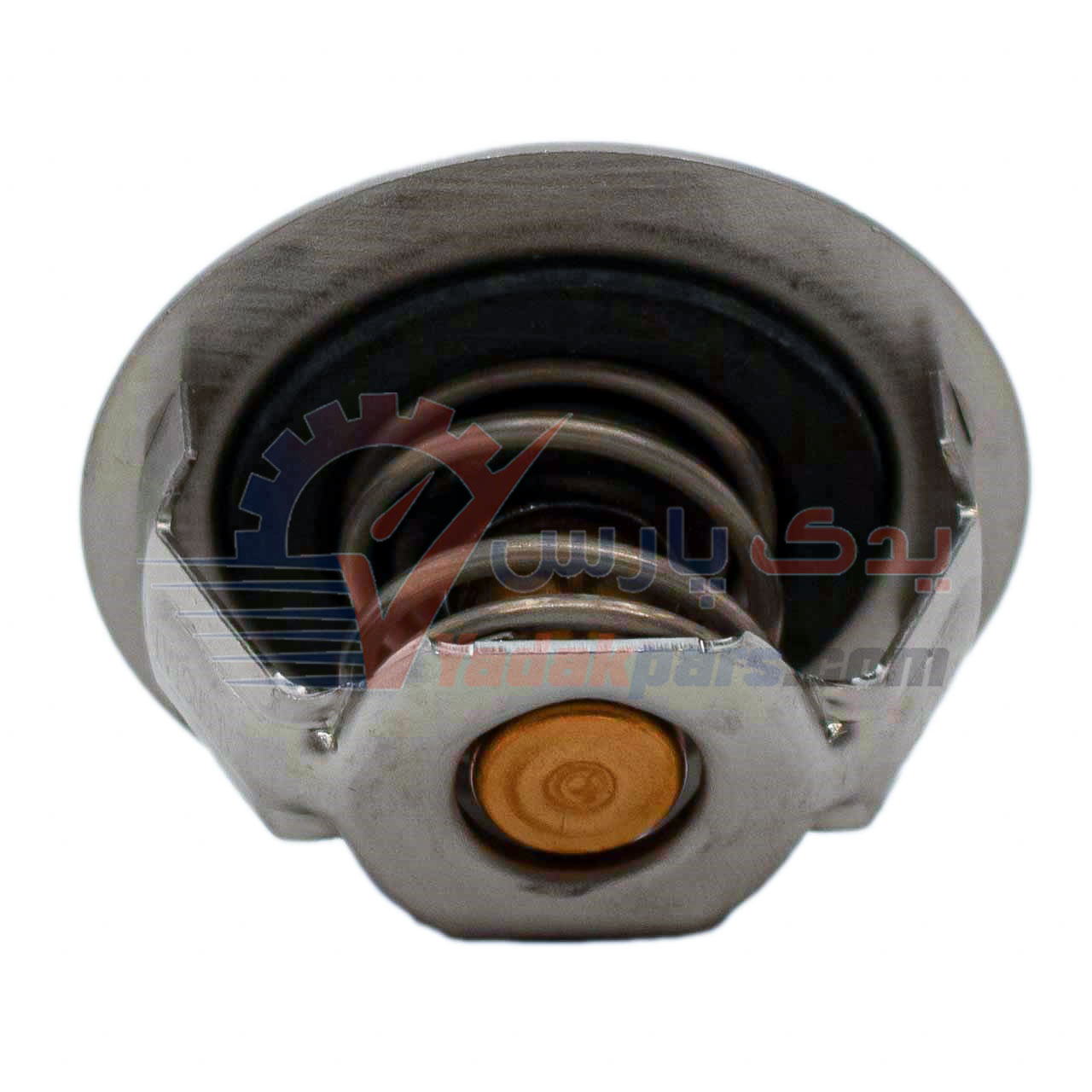 ترموستات زانتیا ورنت