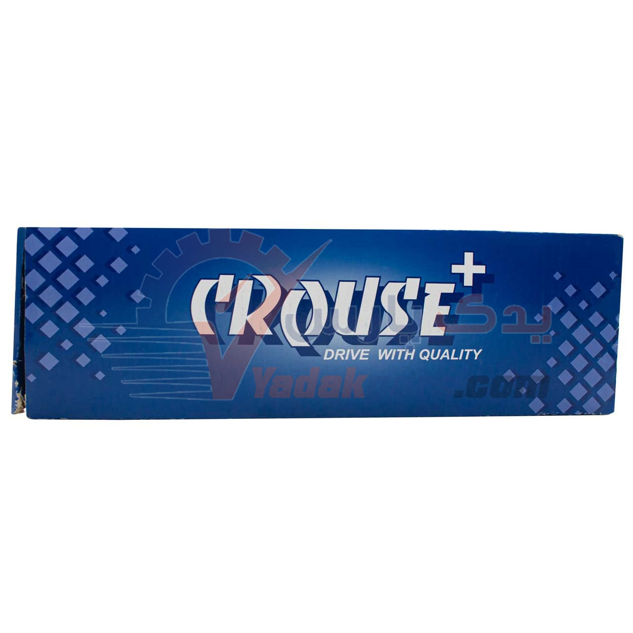 کوئل شاهین کروز