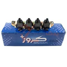 کوئل شاهین کروز