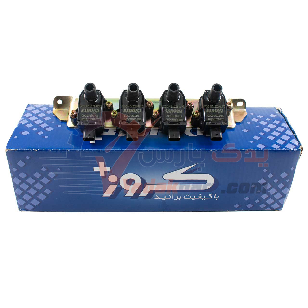 کوئل شاهین کروز