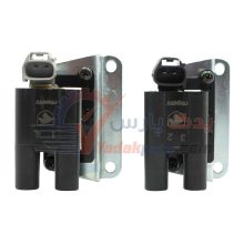 کوئل زیمنس پژو