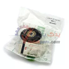 دسته موتور گرد پژو405