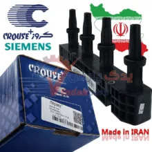 کوئل رانایی کروز