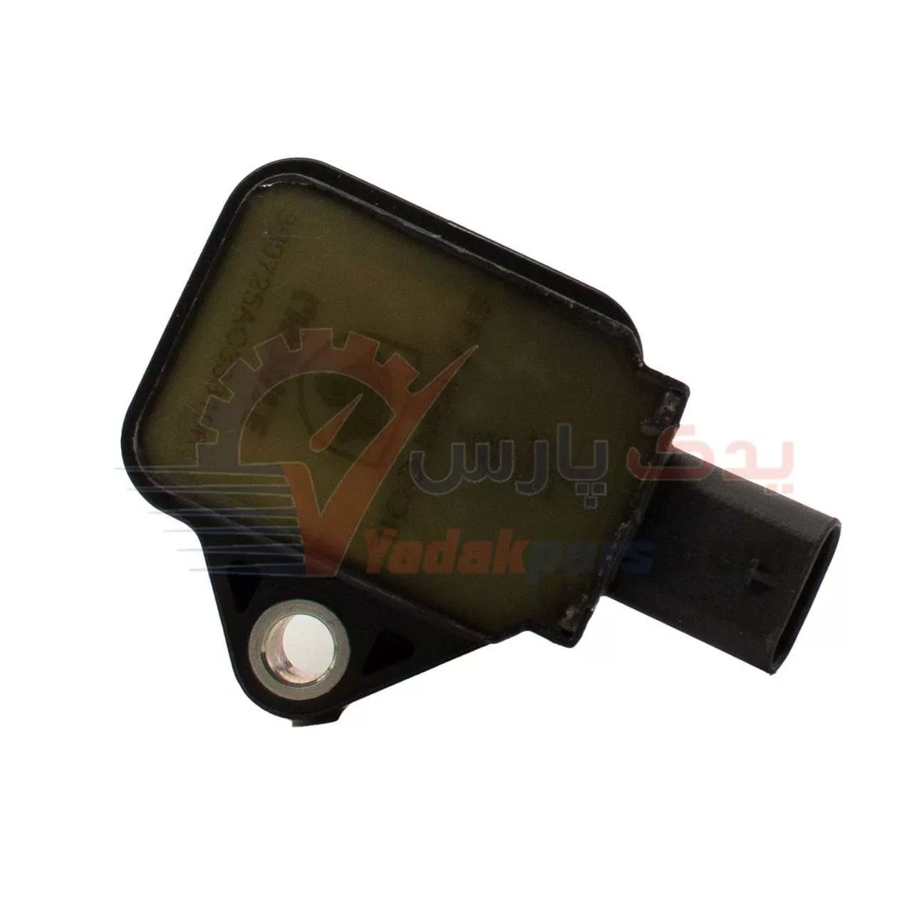کوئل سمندملی کروز