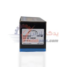 لنت عقب تیبا گلد